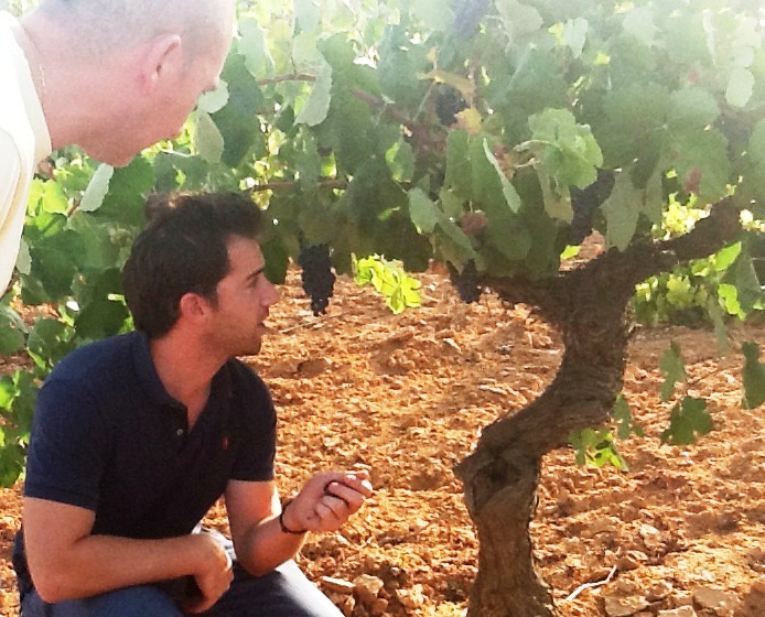 Alberto_Pedrón_Sentencia_Viticultura